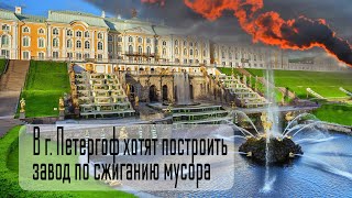 В г. Петергоф хотят построить мусоросжигательный завод. К чему приведет мусорная реформа?