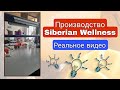 Производство Siberian Wellness / Сибирское здоровье.