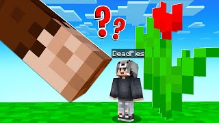 SAKLAMBAÇTA HİLE İLE TROLLEDİM 😱 - Minecraft