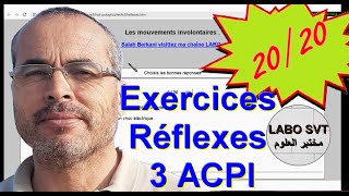 exercices les réflexes médullaires