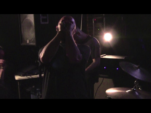 Shitstorm at 352 Fest on April 21, 2019 at Durty Nelly's, Gainesville, FL