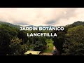 Lancetilla