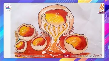 First Bell 2.0 Plus One Botany Class 06