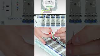 Podłączenie Sterownika Btrp230 Do Listwy Kl06 Łogowe