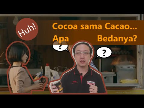 Video: Perbedaan Antara Kakao Dan Kakao