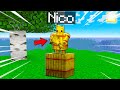 MINECRAFT MA SONO UNA BALLA DI FIENO!