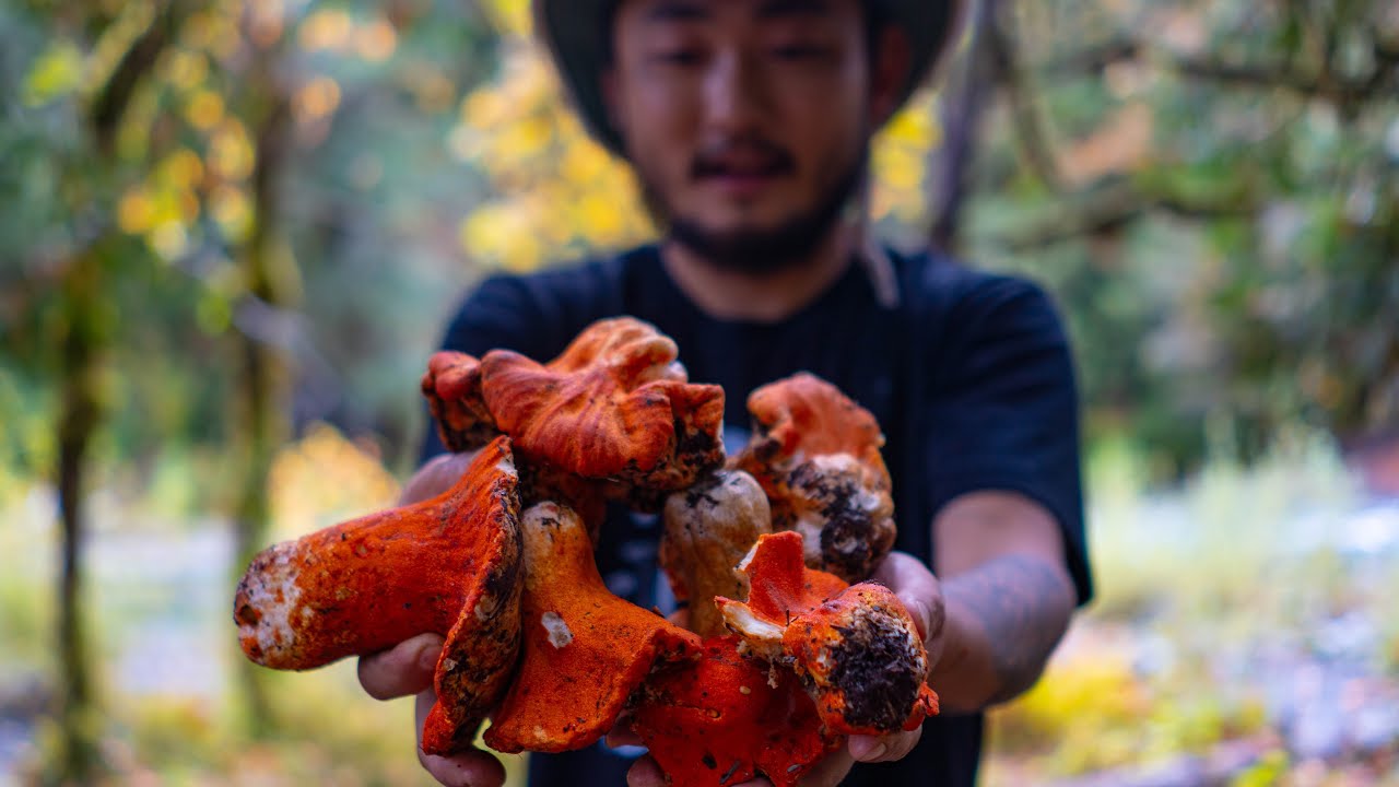 JACKPOT OF WILD VIBRANT MUSHROOMS Into A Masterpiece Dish  | Lobster Mushrooms