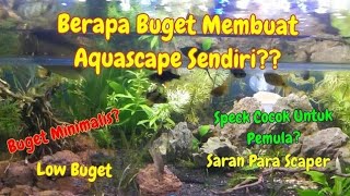 Buget membuat Aquascape untuk pemula ukuran tank 60cm