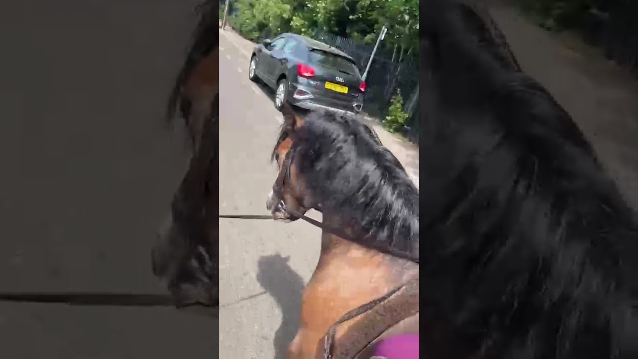 Advert reference - 414238 - YouTube