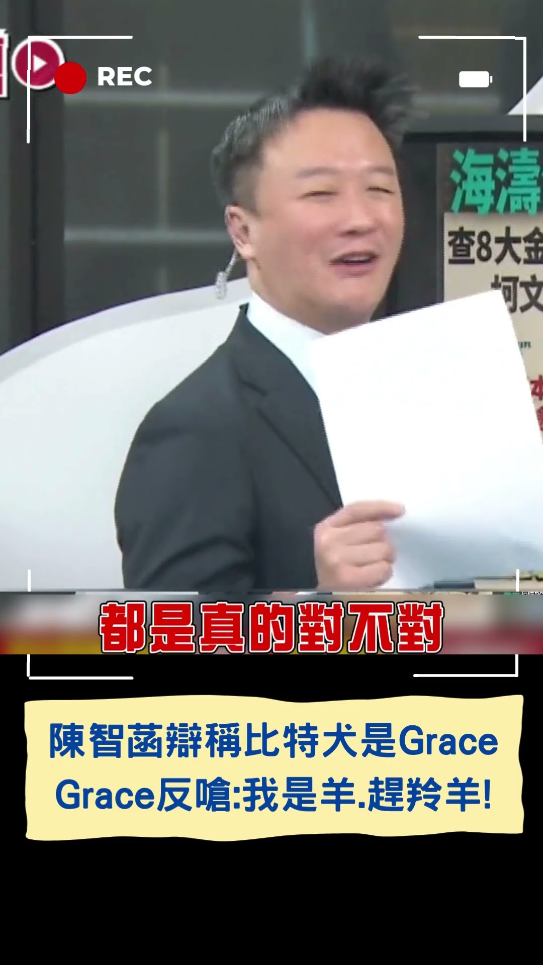 陳智菡稱比特犬是Grace 遭反嗆:我是羊.趕羚羊!｜20241127｜#shorts