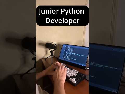 Junior Python Developer