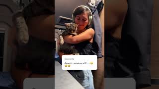 Download Lagu Venerdì sera in camper #vanlife #disco #discoteca #weekend #cat #catlover #camperlife #gatto MP3