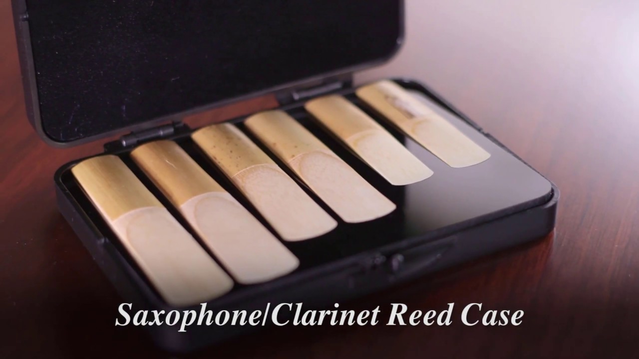 Étui Rangement Anches Saxophone Clarinette Housse Cuir PU 6 Fentes Noir