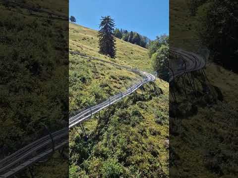 📍 Hasenhorn Coaster Todtnau 🇩🇪  #travel #vacation #germany