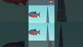 3 bí mật thiết kế nhà có khả năng chống bão