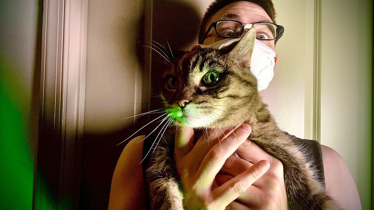 How to Clean Cat Pee out a Hockey Bag 