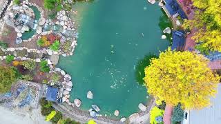 Kloubec Koi Garden Pond Drone Footage