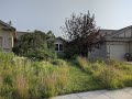 An introduction on converting lawn to prairie gardens