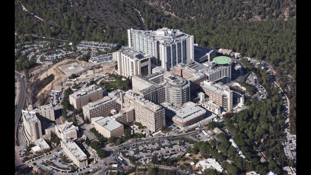 hadassah hospital tours