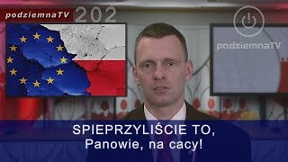 Prawdziwe wyniki wyborów do PE