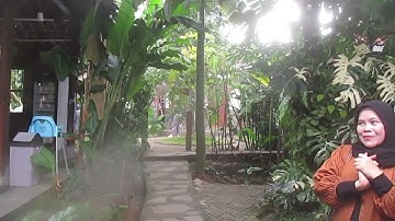 356 - Sawah Segar Dua : Oase Kuliner di Sentul, Jawa Barat.