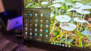 My top 6 Android Apps to use on a Chromebook