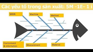 5M trong sản xuất và quản lý chất lượng tại các công ty