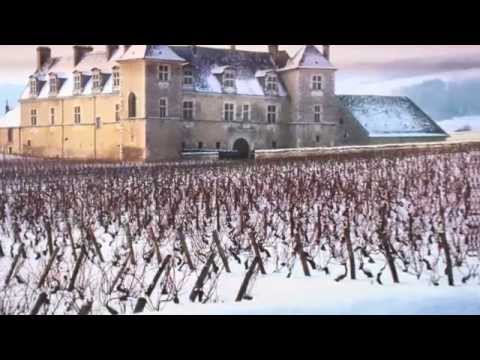 Vídeo: Beaune e a região vinícola da Borgonha na França