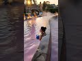 Gorgeous Japanese Lady Taking A Bath In A Vanilla Onsen Next To Eiffel Tower In Paris