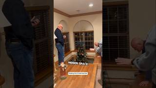 Famous They store their christmas tree under their floor Wealth