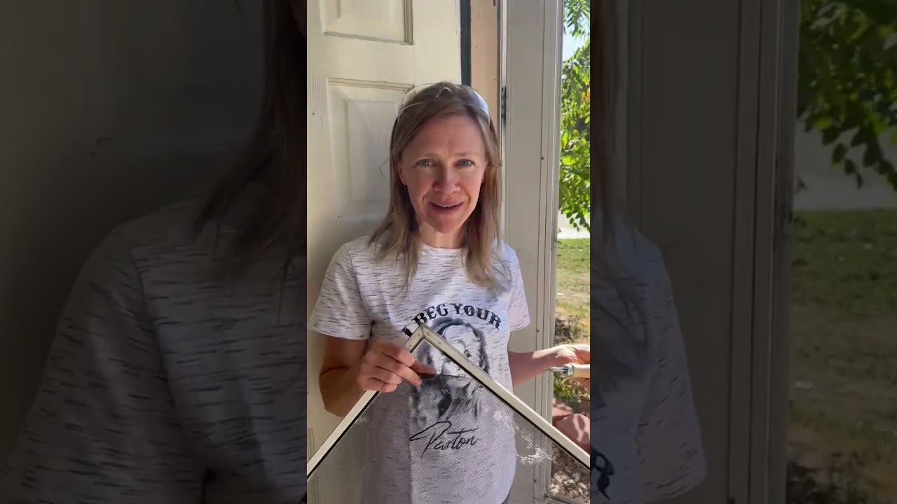 That Pesky Fly in Your Kitchen Came Through This Screen.