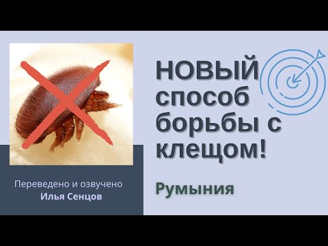 НОВЫЙ способ борьбы с клещом! Муравьиная кислота прямо на расплод (Румыния)