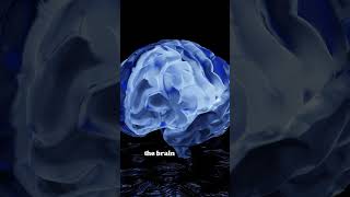 Your ears never actually hear sound.Your brain decodes vibrations. 👂