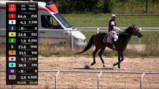 Vidéo de la course PMU PREMIO LUIS ALVAREZ