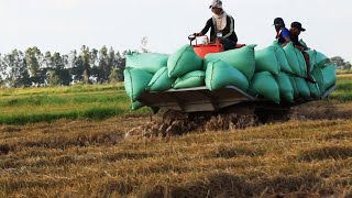Recycling Rice Harvester Drives Like Boat | Kubota DC 70 |
