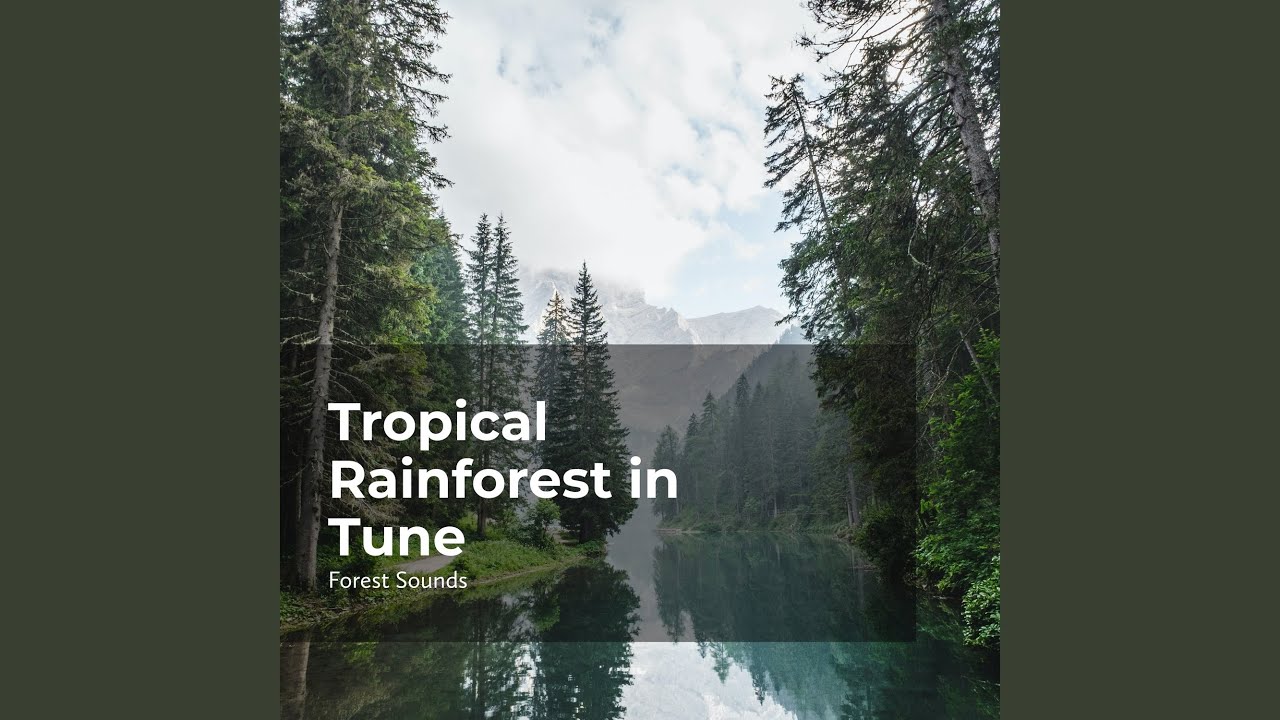 Hushed Forest Medley