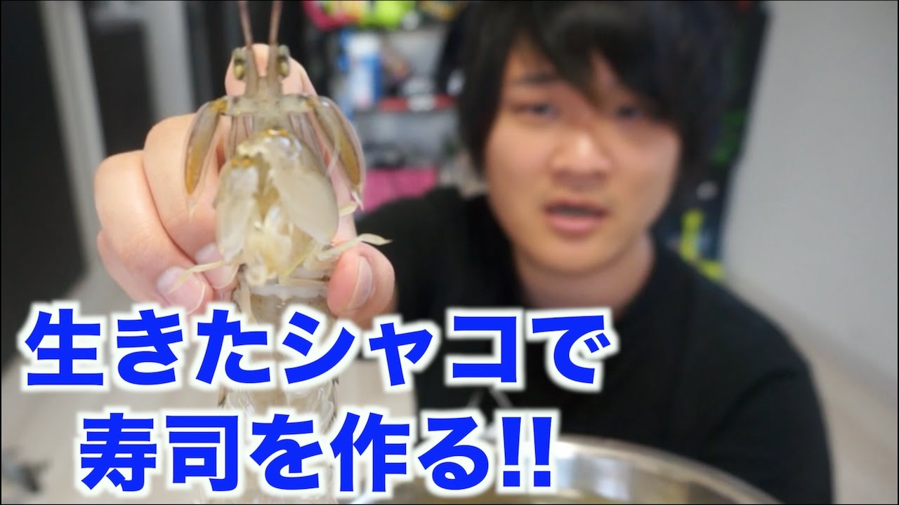 初挑戦 元気なシャコで寿司作った結果悲惨だった Youtube
