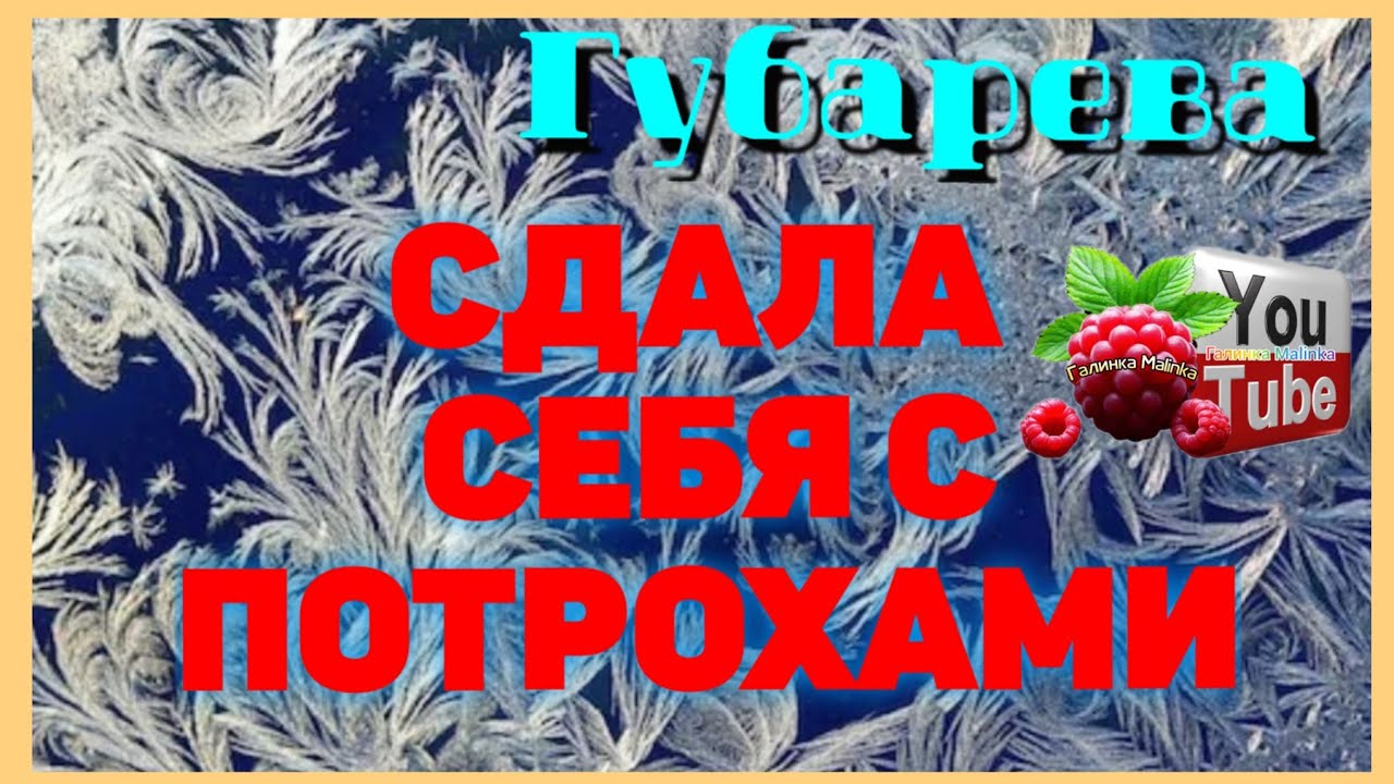 Губарева /Сдала себя с потрохами /Обзор /Наталья Губарева /Алиса Неземная /Одна в деревне /