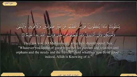 سورة البقرة من الاية ( 213 ) الى الاية ( 215 ) مكررة للحفظ بصوت ( ياسر الدوسري )