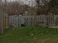 Authorities bust alleged dog fighting ring Authorities bust alleged dog fighting ring