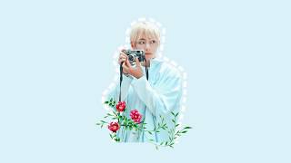 BTS V  | OVERLAYS/ EDITING PACK