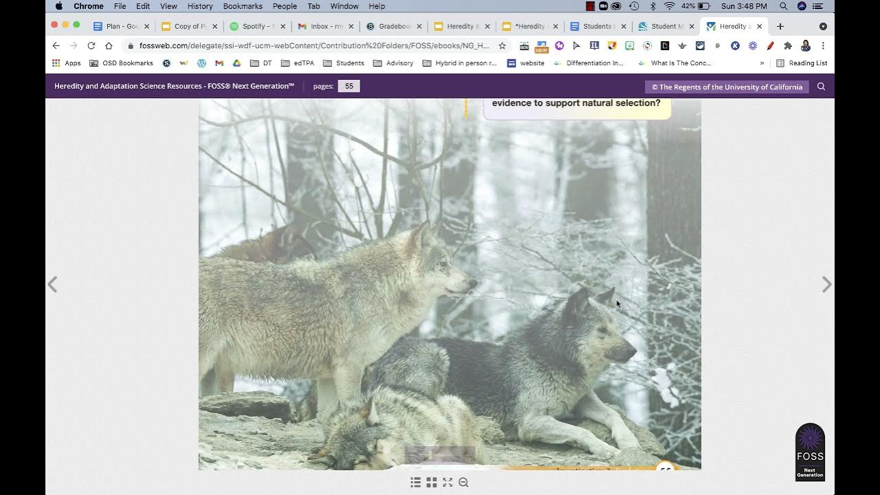 Natural Selection [READING] edPuzzle - YouTube