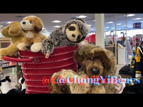 Douglas cuddle toy and more! Visiting the paper store Leominster MA ...