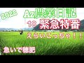 Az農業日記18 緊急特番！！えらいこっちゃ！！緊急穂肥！油断してたわ！