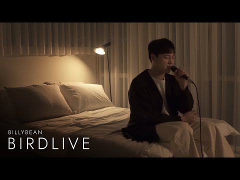 [BIRDLIVE] PL(피엘) - PILLOW