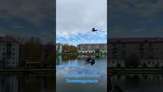 Озеро в центре Зеленодольска. 15 октября 2022 г.