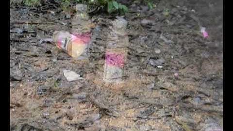 Savage Model 210F - .73 Rifled Slug.avi