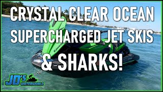 Crystal Clear Water, Supercharged Jet Skis & Sharks! 80 Mile Ocean Ride