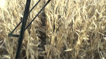 Combining with Row Sense