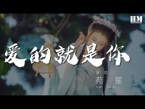 苑笙 - 愛的就是你（翻自 劉佳） 『天上星星我爲你摘』【動態歌詞Lyrics】